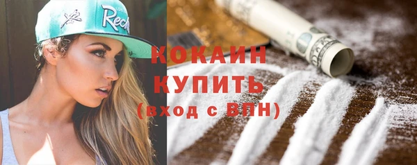 spice Инсар