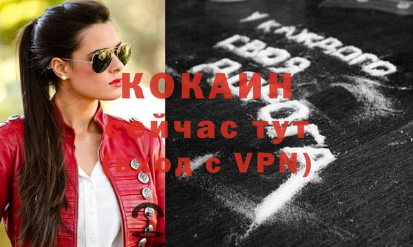 шишки Иннополис