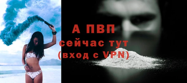 шишки Иннополис