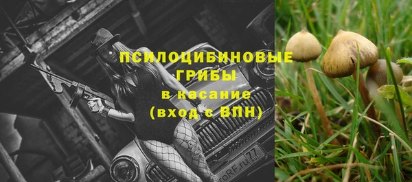 эйфоретик Зеленодольск