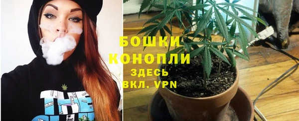 молекула духа Зерноград