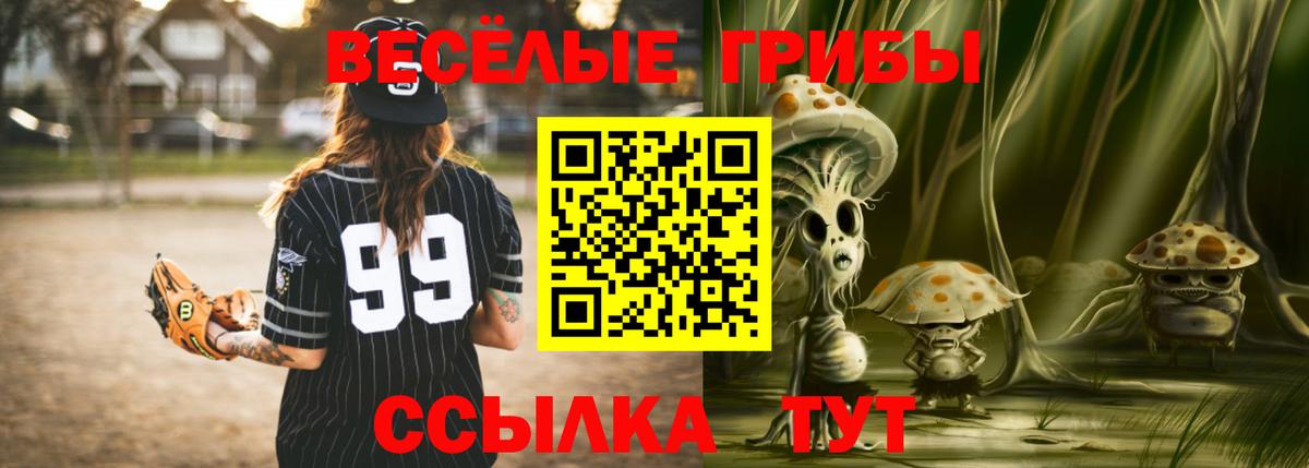 Ирбит  Галлюциногенные грибы Cubensis  закладки  Вход с VPN 